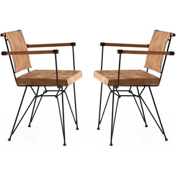 Penyez Esszimmerstuhl 2er-Pack - Braun