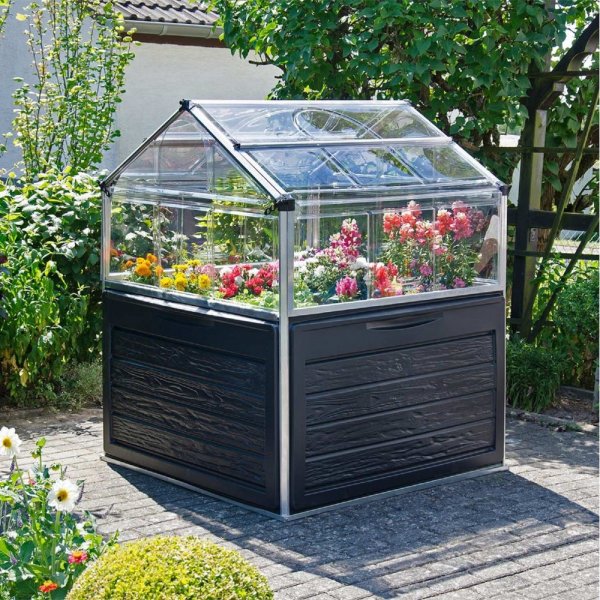 Mini-Gewchshauspflanze In -1,3 m +