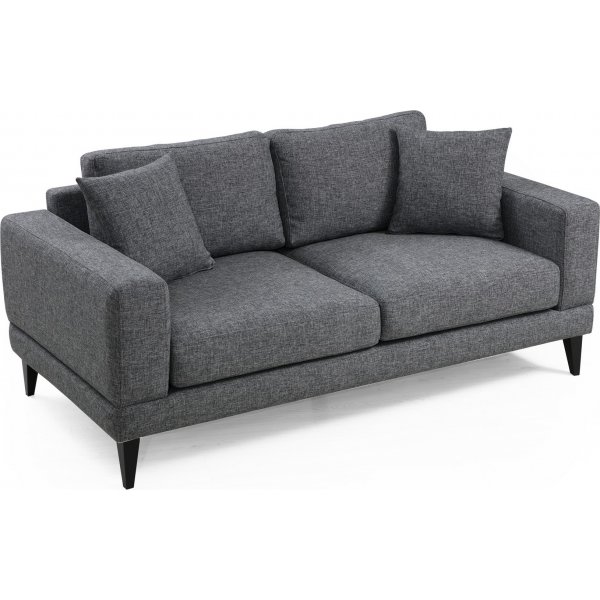 Nordisches 2-Sitzer-Sofa - Dunkelgrau