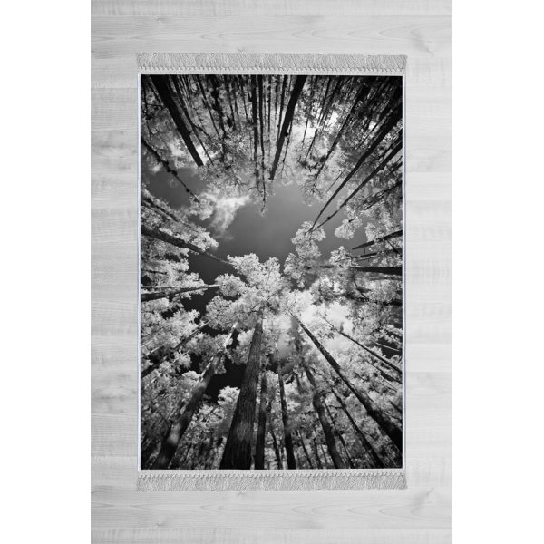 Veluro 1902 Teppich Veluro 1902 Teppich