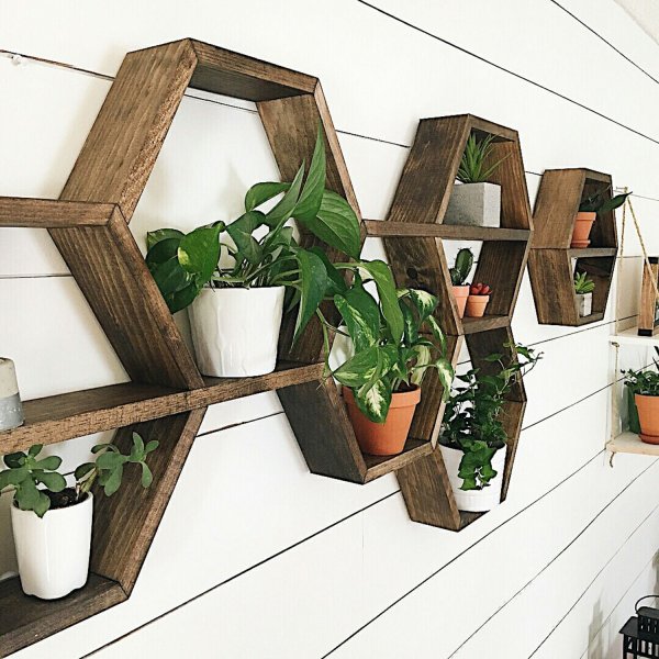 Rafa Wandregal 109 - Nussbaum