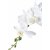 Knstliche Orchideenpflanze - H: 47 cm - Grn/Wei