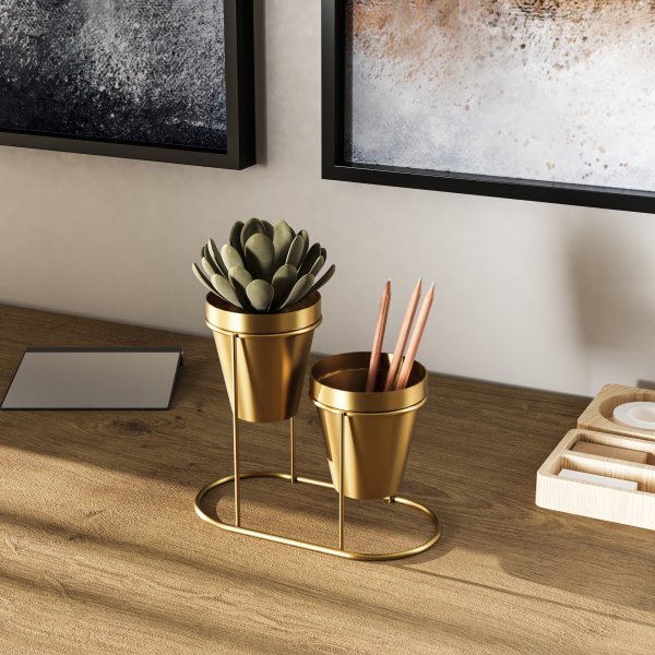 Plato 15 Tpfe - Gold