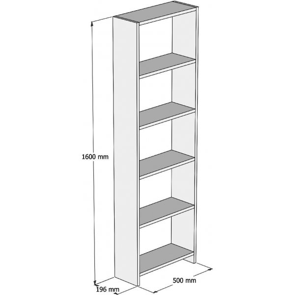 B�cherregal Newton - Nussbaum