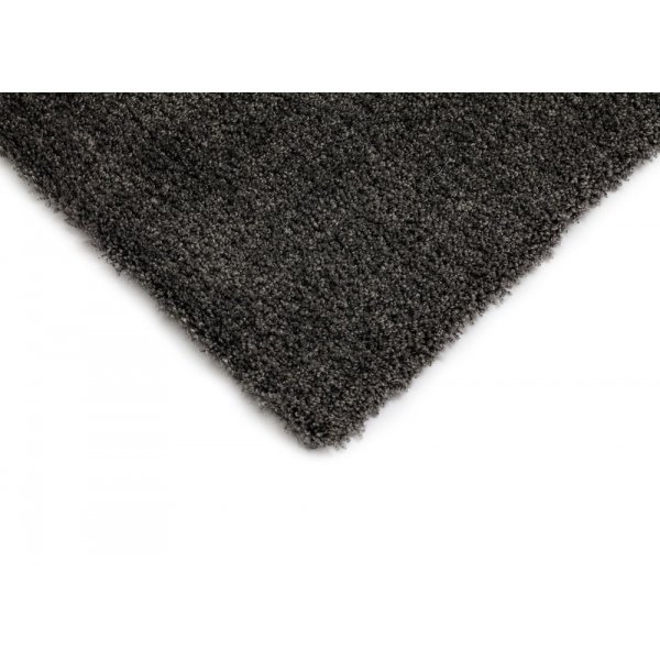 Ryamatta Dorsey - Graphit Ryamatta Dorsey - Graphit