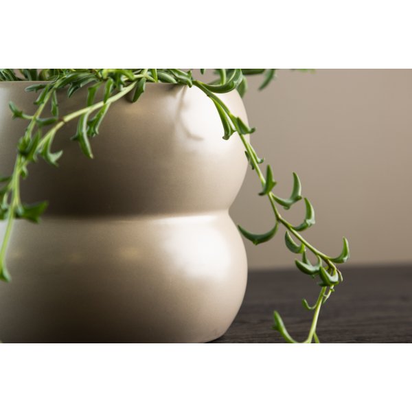 Dapne-Topf - Beige Dapne-Topf - Beige