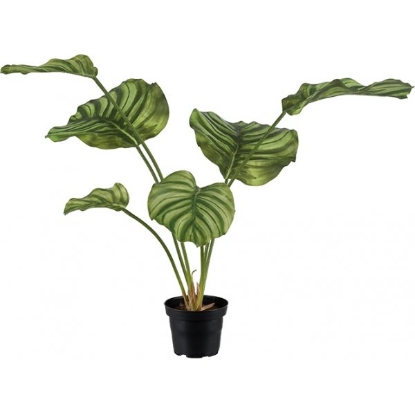 Knstliche Calathea-Pflanze