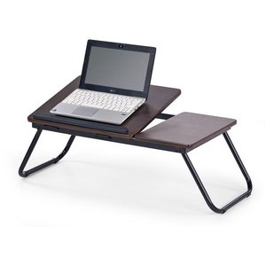 Lillian Tisch fr Laptop