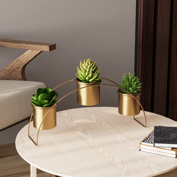 Plato 12 Vorratstöpfe - Gold Plato 12 Vorratstöpfe - Gold