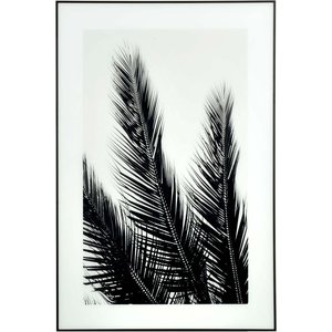 B&W Palms Bild - Schwarzer Rahmen
