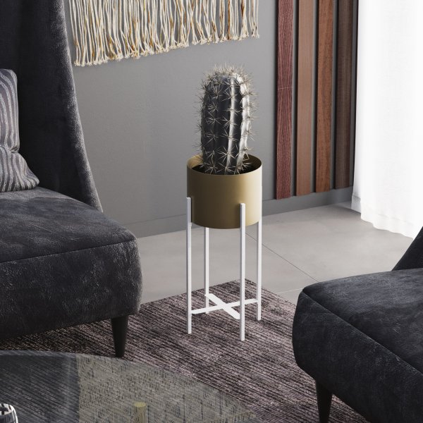 Plato 26 Topf - Wei/Gold