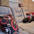 Kundenbild Vera 3-Sitzer-Sofa aus grauem Stoff