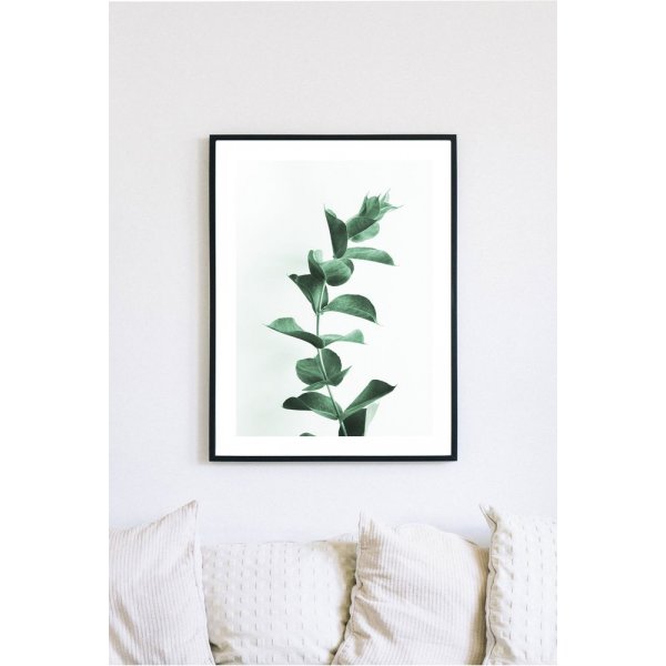 Posterworld - Motiv Eukalyptus - 70x100 cm