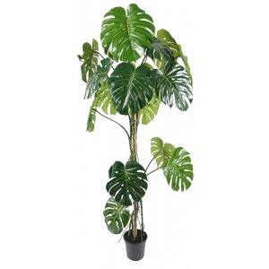 Knstliche Monstera-Pflanze