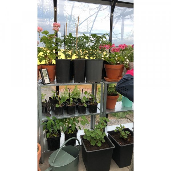 Gewächshaus Neptunus - 12,8 m² + Gewächshaus Neptunus - 12,8 m² +